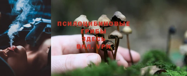 ешки Алексеевка